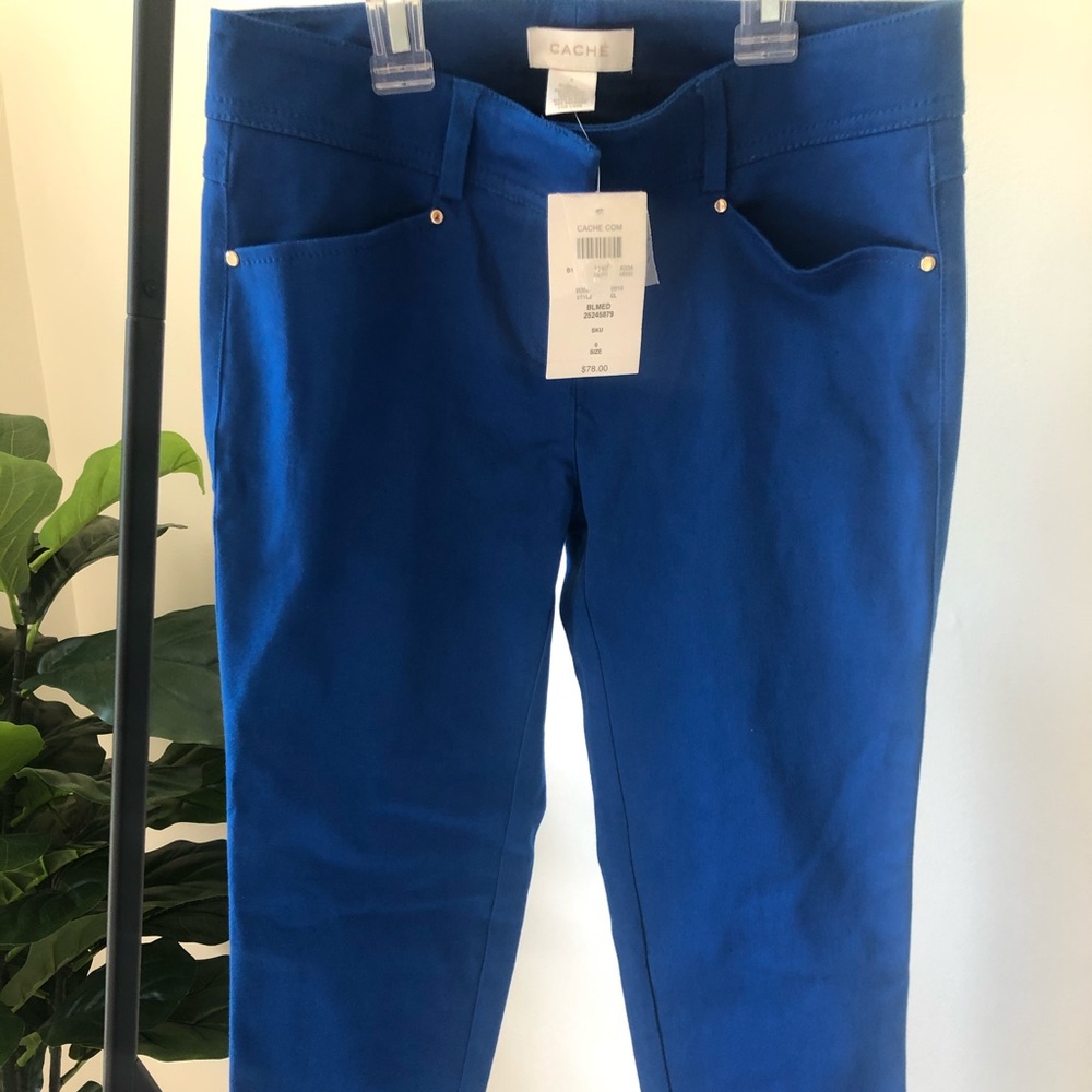 CACHE Royal blue Capri pants
